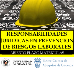 Responsabilidades Jur&iacute;dicas en Prevencion de Riesgos Laborales 