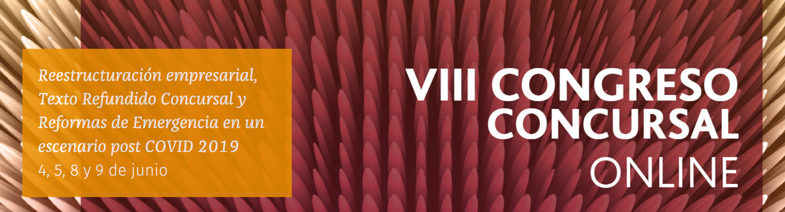 VIII Congreso Concursal Online. Reestructuraci&oacute;n empresarial, Texto Refundido Concursal y reformas de emergencia en un escenario post COVID -19 