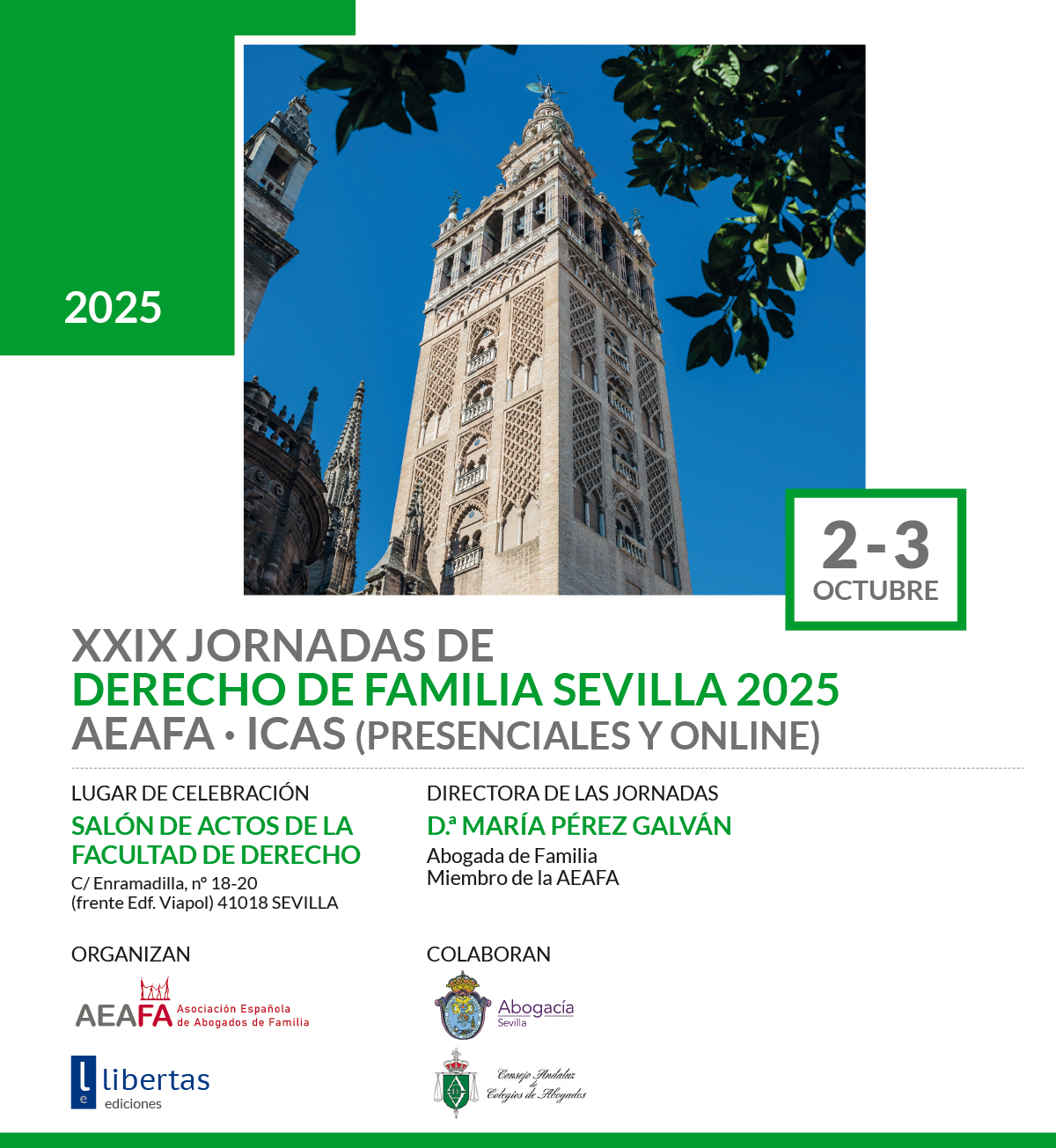XXIX Jornadas de derecho de familia Sevilla 2025